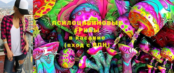 эйфоретик Алексеевка