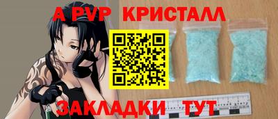 крисы Славгород