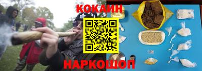 крисы Славгород