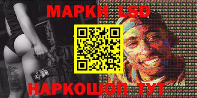 крисы Славгород