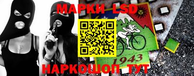 крисы Славгород