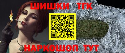 крисы Славгород