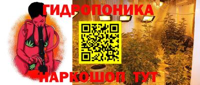spice Абакан