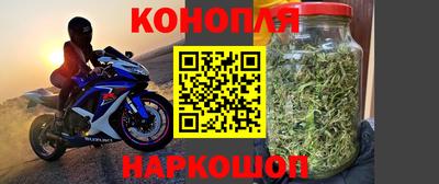 a pvp Славянск-на-Кубани
