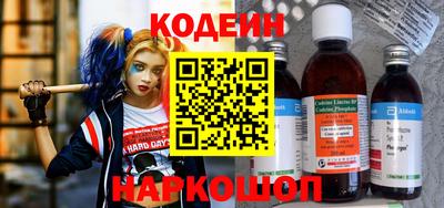 крисы Славгород