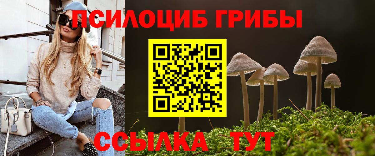 Галлюциногенные грибы Psilocybine cubensis Боровичи