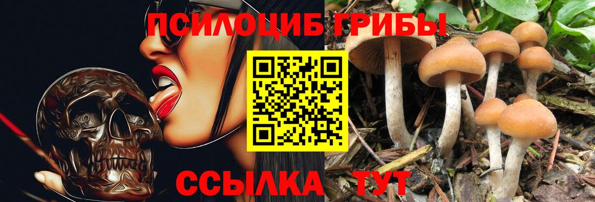 Псилоцибиновые грибы Psilocybe  цены   Вход с VPN  Боровичи  Галлюциногенные грибы Magic Shrooms 