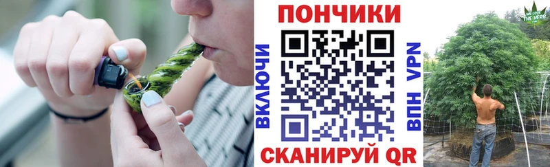 Бошки марихуана план  Боровичи 
